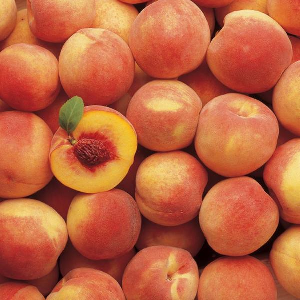 Simple Peach